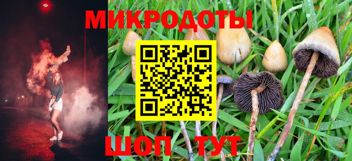 Ставрополь  Псилоцибиновые грибы мицелий  Вход с VPN 