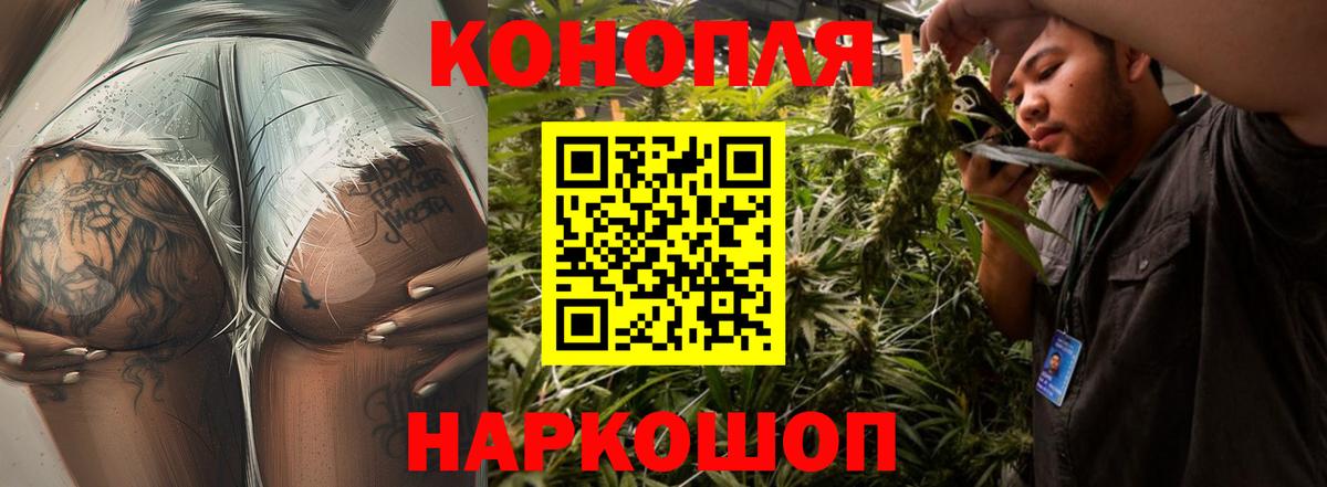 Шишки марихуана конопля  Вход с VPN  Бошки марихуана LSD WEED  Марихуана White Widow  Ставрополь 
